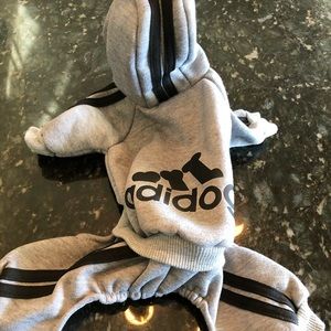 Dog adidas hoodie tracksuit